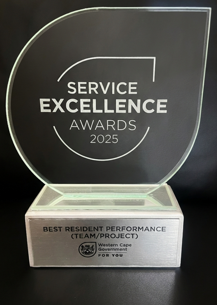 gemini silver trophy3