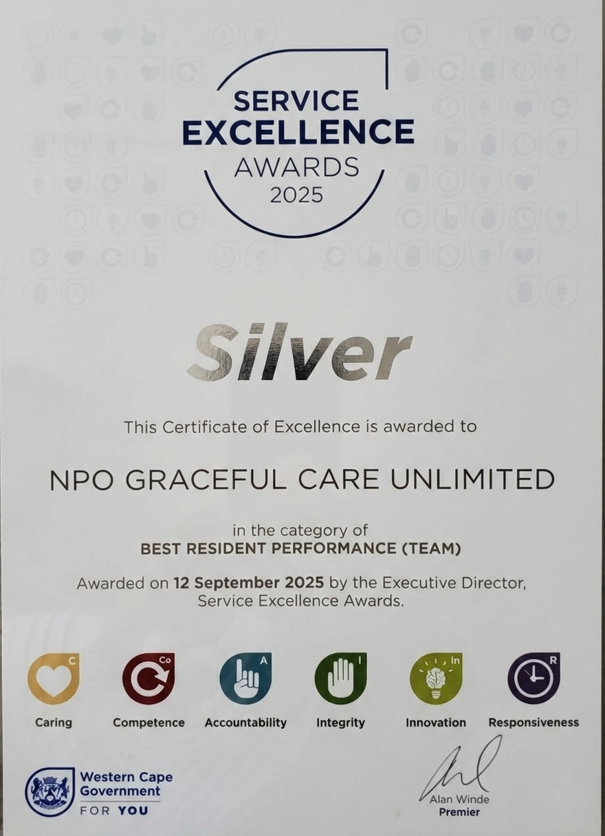 silver award2